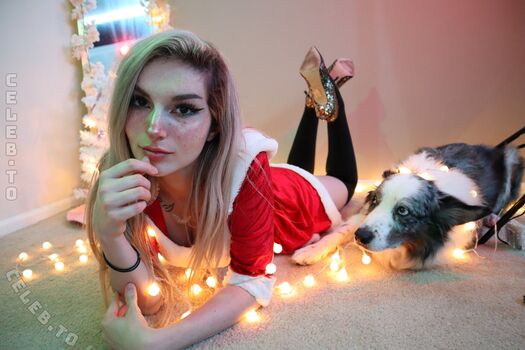 Busy B ASMR