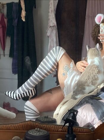 Cubeano / Saprophyte