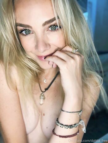 dahlia_free