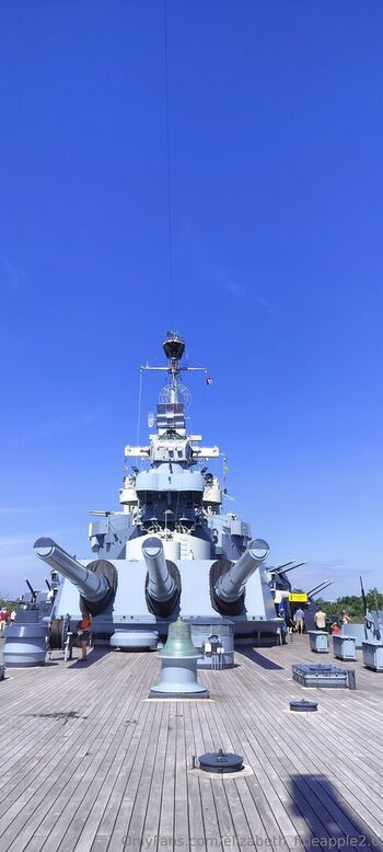 elizabeth_fineapple2.0