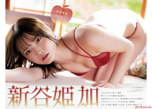 Hime Araya