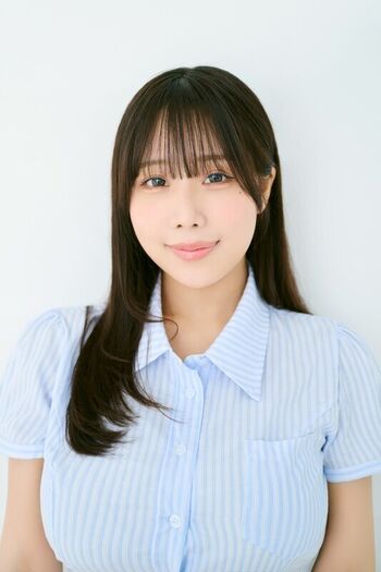 Towa Rabbit