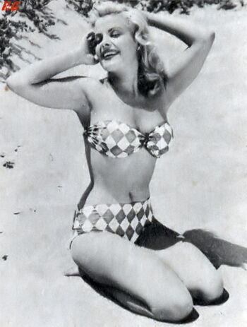 Vintage English Pinups